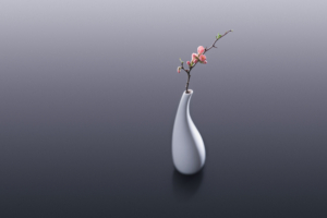 Flower Vase699718044 300x200 - Flower Vase - Vase, flower